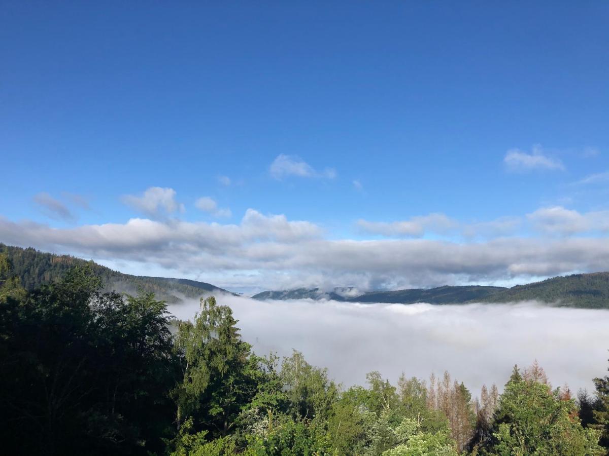 Le Gite Cozy De Bouvacote Avec Vue Panoramique Et Sauna Le Tholy Bagian luar foto