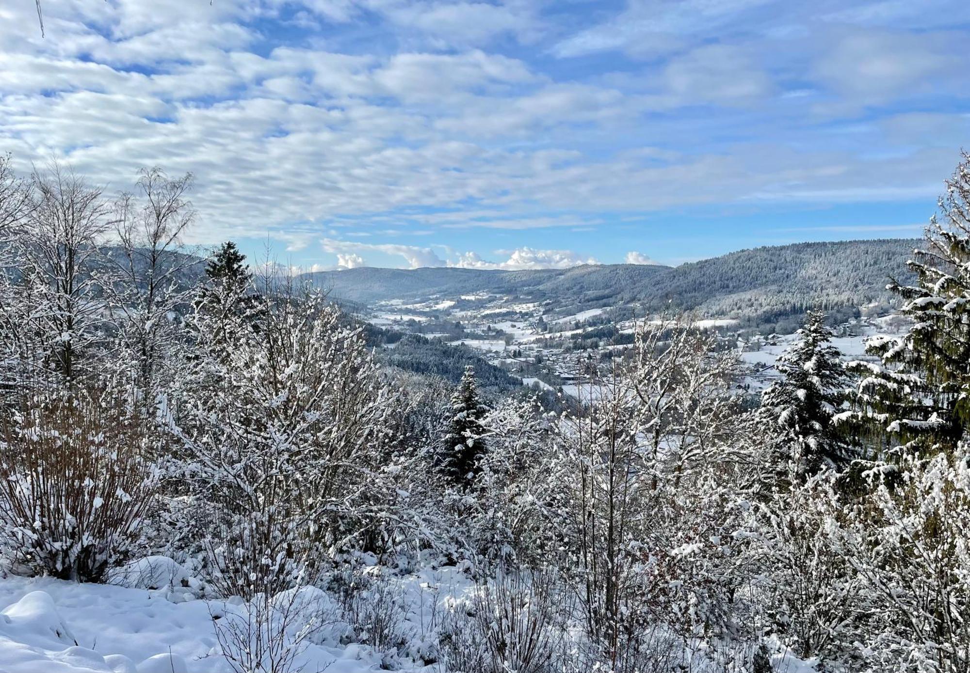 Le Gite Cozy De Bouvacote Avec Vue Panoramique Et Sauna Le Tholy Bagian luar foto