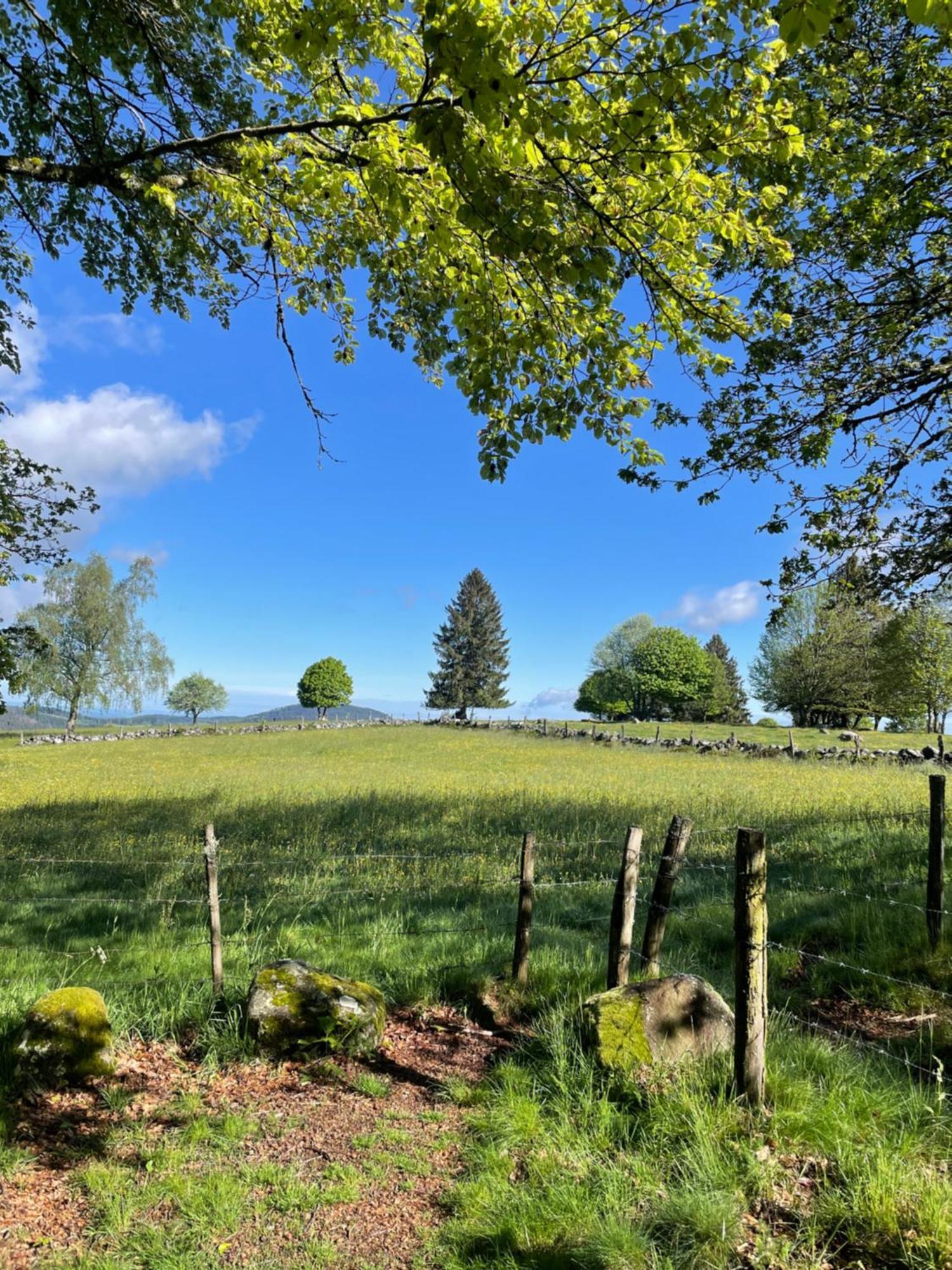 Le Gite Cozy De Bouvacote Avec Vue Panoramique Et Sauna Le Tholy Bagian luar foto